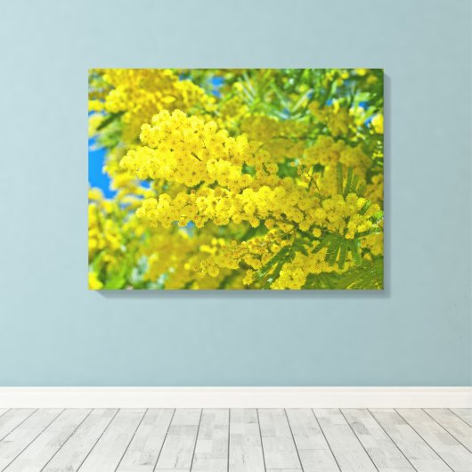 Mimosa Gele Bloem Bloemige Botanische Fotografie Canvas Afdruk (Insitu (Houten vloer))