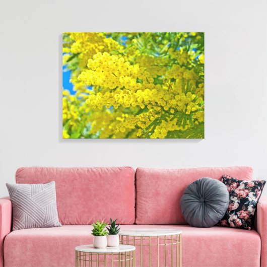 Mimosa Gele Bloem Bloemige Botanische Fotografie Canvas Afdruk (Insitu (Woonkamer))
