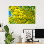 Mimosa Gele Bloem Bloemisterij Botanische Fotograf Poster (Thuiskantoor)
