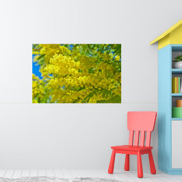 Mimosa Gele Bloem Bloemisterij Botanische Fotograf Poster