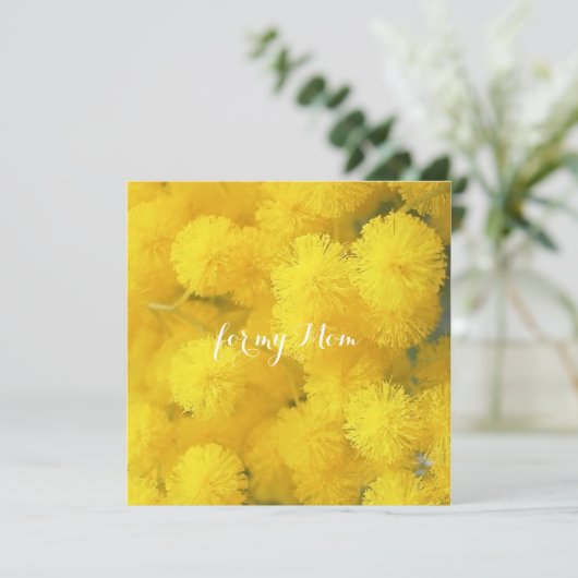 Mimosa. Gele lentesbloemen. (Staand voorkant)