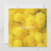 Mimosa. Gele lentesbloemen. (Voorkant)