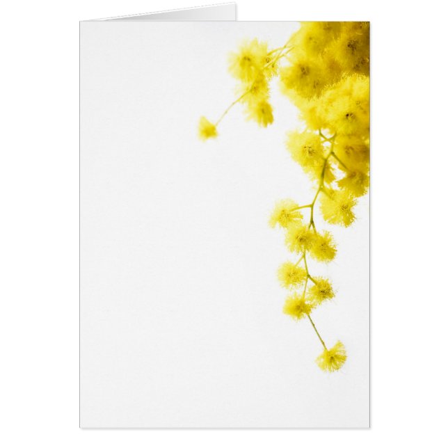 Mimosa Kaart (Voorkant)