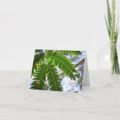 Mimosa Leaves Kaart (Voorkant)