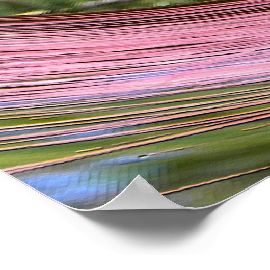 Mimosa... Poster (Hoek)