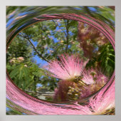 Mimosa... Poster (Voorkant)