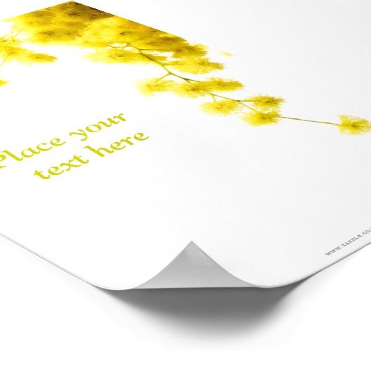 Mimosa Poster (Hoek)