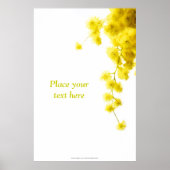 Mimosa Poster (Voorkant)