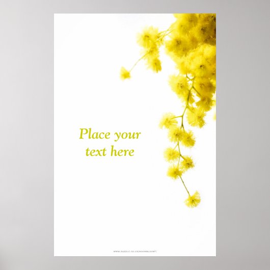 Mimosa Poster (Voorkant)