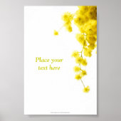 Mimosa Poster (Voorkant)