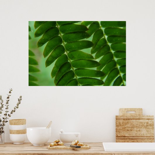 Mimosa Secrets Poster (Keuken)