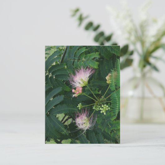 Mimosa Tree Blossom Briefkaart (Staand voorkant)