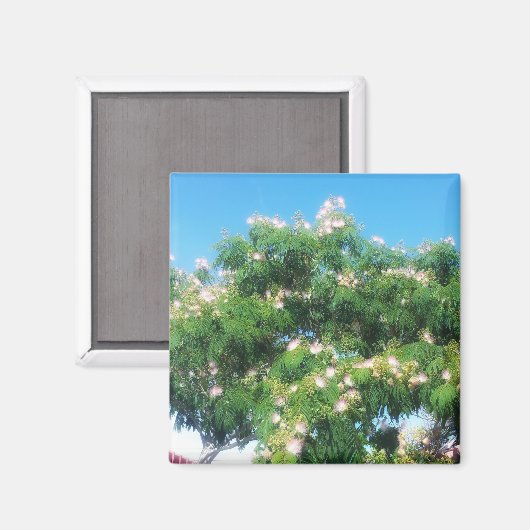 Mimosa Tree Magnet (Voorkant / Achterkant)