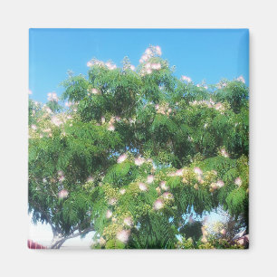 Mimosa Tree Magnet