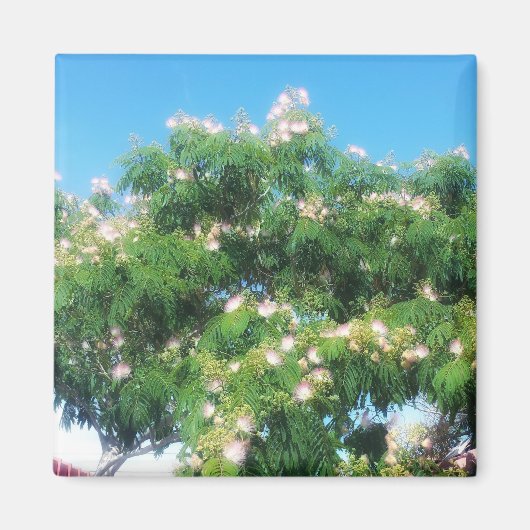 Mimosa Tree Magnet (Voorkant)