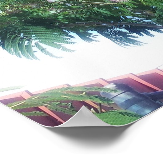 Mimosa Tree Poster (Hoek)