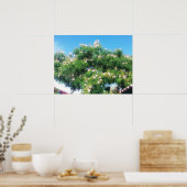 Mimosa Tree Poster (Keuken)