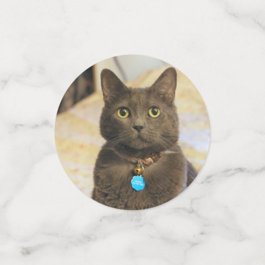 Mims Confetti (Kleine voorkant)