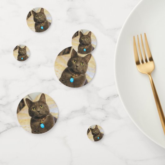 Mims Confetti (Groep)