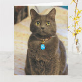 Mims Kaart (Gele Bloem)