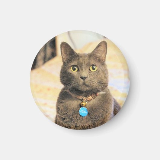 Mims Magneet (Voorkant)