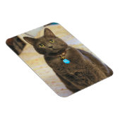 Mims Magneet (Rechterzijde)