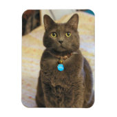 Mims Magneet (Verticaal)