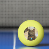 Mims Pingpongbal (Net)