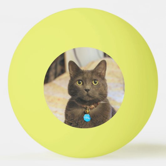 Mims Pingpongbal (Voorkant)