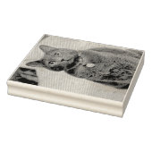 Mims Rubberstempel (Stempel)