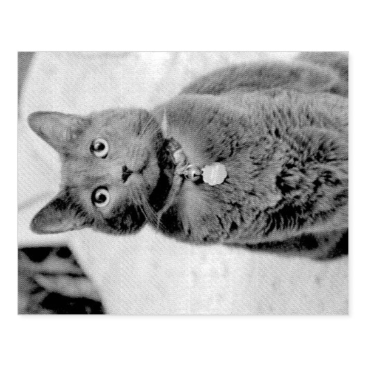 Mims Rubberstempel (Afrduk)