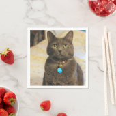 Mims Servet (Insitu)