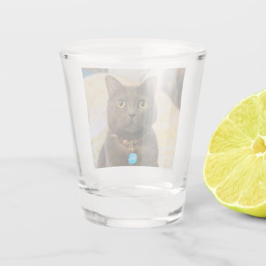 Mims Shot Glas (Achterkant)