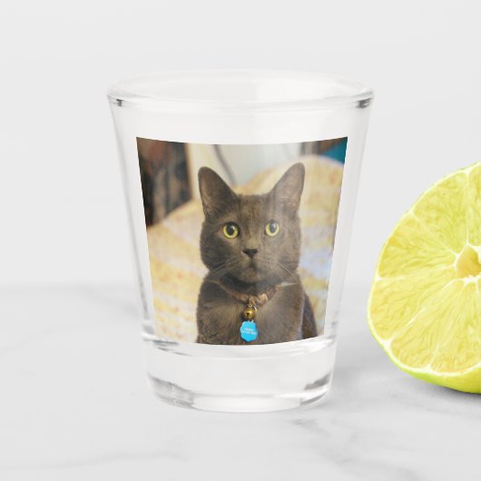 Mims Shot Glas (Voorkant)