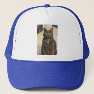 Mims Trucker Pet
