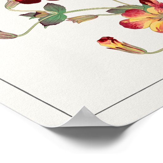 Mimulus luteus door Tanigami Konan Poster (Hoek)