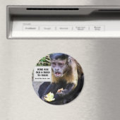 Min are hard to raise magneet (Insitu (Vaatwasser))