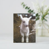 Min het Briefkaart (Staand voorkant)