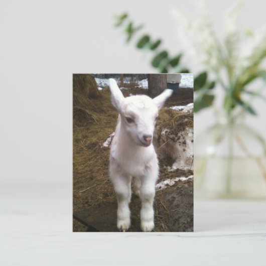 Min het Briefkaart (Staand voorkant)