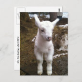 Min het Briefkaart (Voorkant / Achterkant)