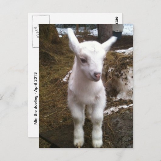 Min het Briefkaart (Voorkant / Achterkant)