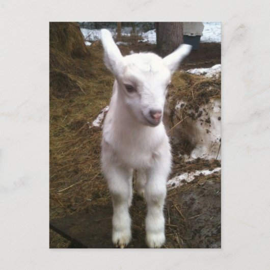 Min het Briefkaart (Voorkant)