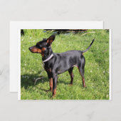 min. pin zwart en roest vol briefkaart (Voorkant / Achterkant)