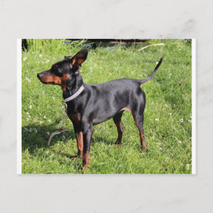 min. pin zwart en roest vol briefkaart