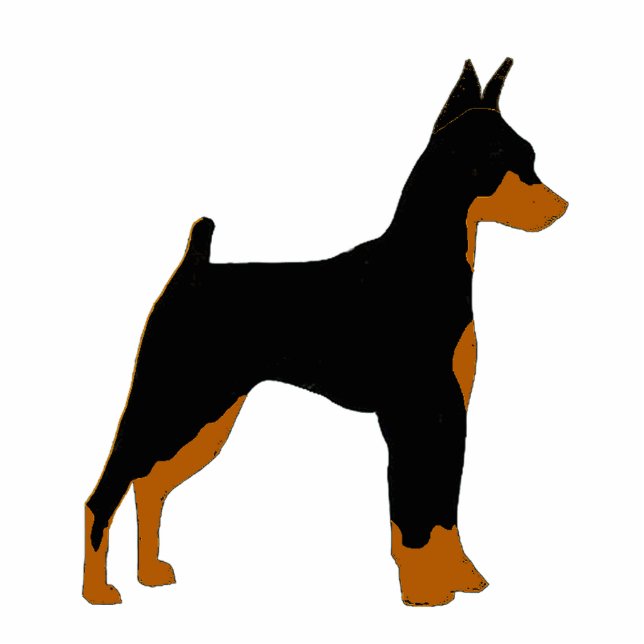 min. pin zwart en roestsilo staand fotobeeldje  (Voorkant)