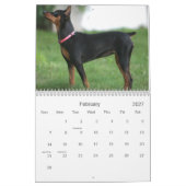 Min. Pins 2013 Kalender (Feb 2027)