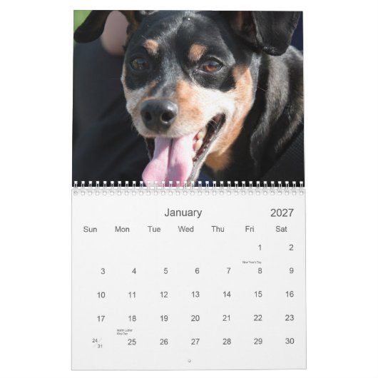 Min. Pins 2013 Kalender (Jan 2027)