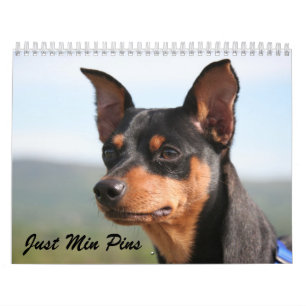 Min. Pins 2013 Kalender