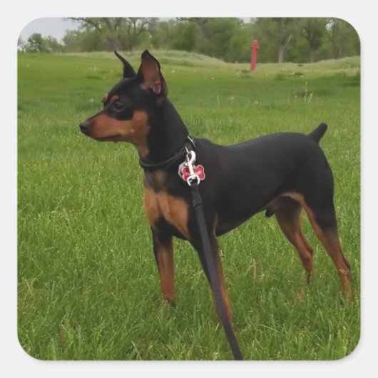 Min. Vierkante Sticker (Voorkant)