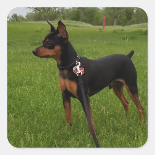 Min. Vierkante Sticker